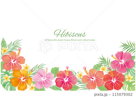 水彩たちのトロピカルな装飾フレーム 115079302