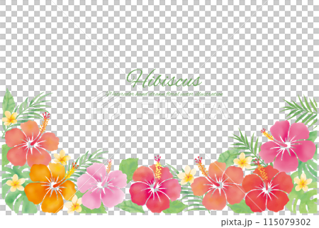 水彩たちのトロピカルな装飾フレーム 115079302