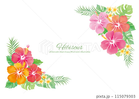水彩タッチのハイビスカスとトロピカルプランツのフレーム 115079303