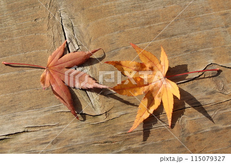 ベンチの上の落ち葉 ベンチの上の落ち葉 115079327