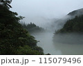 霧に包まれる湖 115079496