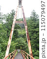 森の中のつり橋 115079497