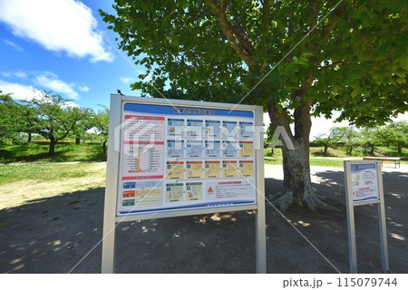 瑞ケ池公園 健康遊具 瑞ケ池公園 健康遊具 115079744