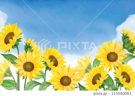 ひまわりと夏の入道雲と青い空の手書き背景 115080061