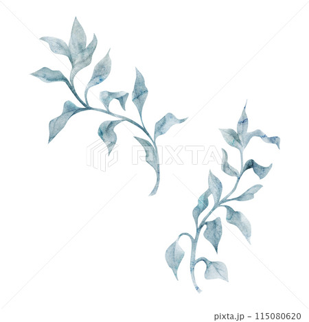 Watercolor and ink hand drawn marine life, sea ocean underwater creatures. fish, shells algae seaweed. Single object illustration, stylized, isolated on white. Zoo shop, aquarium, cosmetics, resort 115080620