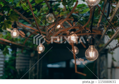 vintage light bulb hanging from grape tree for decoration outdoor garden. 115080631