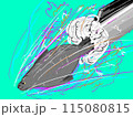アザラシのイラスト 115080815