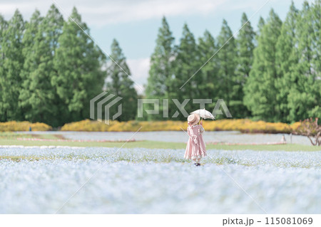 ネモフィラと女の子 ネモフィラと女の子 115081069