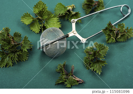 Preparation of healing of nettle tea. 115081096
