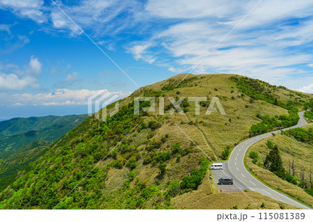(静岡県)初夏の達磨山高原・西伊豆スカイラインから望む富士山 (静岡県)初夏の達磨山高原・西伊豆スカイラインから望む富士山 115081389