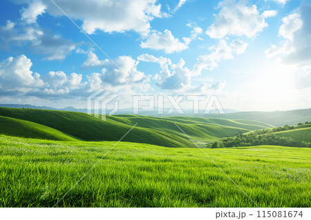 牧草地 放牧 放牧場 115081674