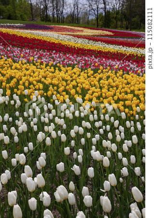 滝野丘陵すずらん公演 滝野丘陵すずらん公演 115082111