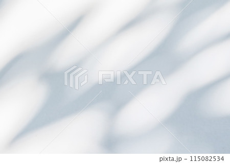 Abstract natural tree leaves shadow on white wall background 115082534