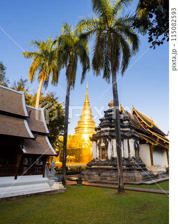 Chiang Mai, Thailand. JAN 10, 2023 Chiang Mai, Thailand. JAN 10, 2023 115082593