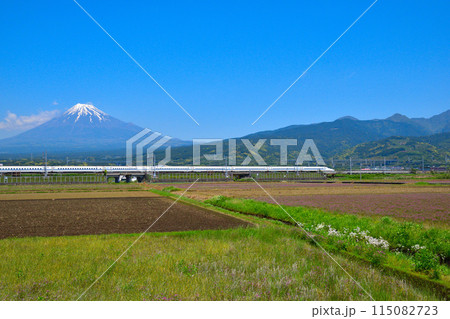 春 富士山 新幹線 春 富士山 新幹線 115082723