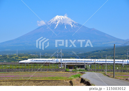 春　富士山　新幹線 115083012