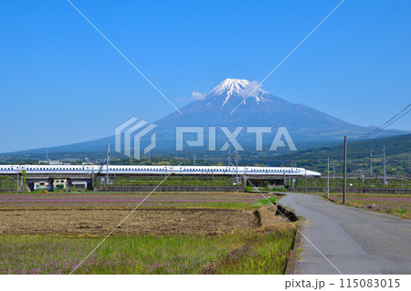 春 富士山 新幹線 春 富士山 新幹線 115083015