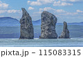 Seagulls flying near rocks on Pacific ocean on Kamchatka 115083315