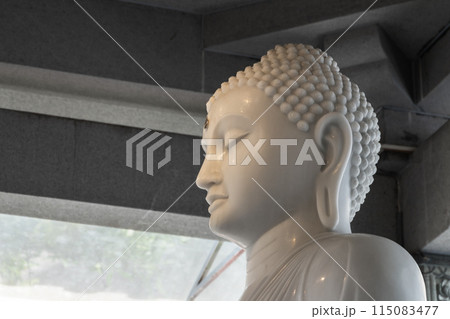 White Buddha statue at Gangaramaya Temple, Sri Lanka 115083477