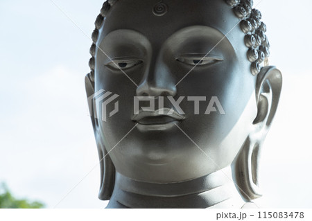 Face of Buddha statue at Gangaramaya Temple, Sri Lanka 115083478