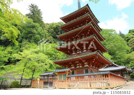 長谷寺〈五重塔〉【 西国三十三所観音霊場第八番 】/ 奈良県桜井市初瀬 長谷寺〈五重塔〉【 西国三十三所観音霊場第八番 】/ 奈良県桜井市初瀬 115083832