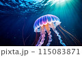 Sunlit Jellyfish in Ocean 115083871