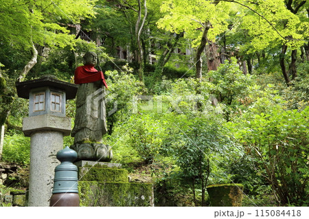 長谷寺【 西国三十三所観音霊場第八番 】／ 奈良県桜井市初瀬 115084418