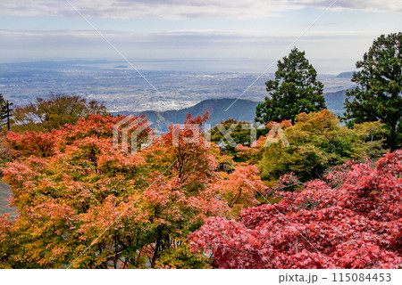 大山阿夫利神社から見る紅葉の風景 115084453