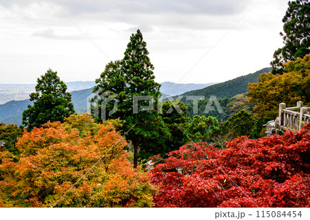 大山阿夫利神社から見る紅葉の風景 115084454