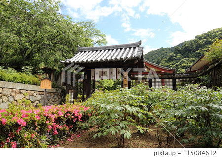 長谷寺〈宗宝蔵〉【 西国三十三所観音霊場第八番 】/ 奈良県桜井市初瀬 長谷寺〈宗宝蔵〉【 西国三十三所観音霊場第八番 】/ 奈良県桜井市初瀬 115084612