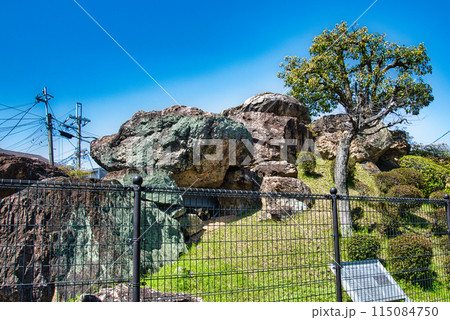 京都の市街地にある石舞台古墳「蛇塚古墳」 115084750