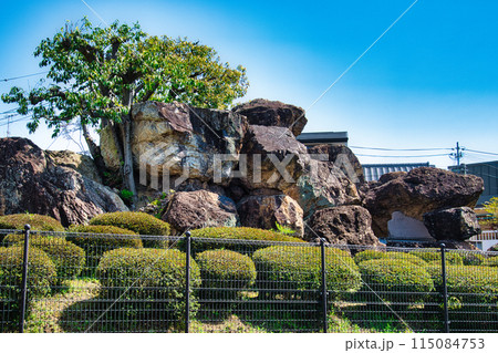 京都の市街地にある石舞台古墳「蛇塚古墳」 115084753