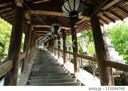 長谷寺〈登廊〉【 西国三十三所観音霊場第八番 】／ 奈良県桜井市初瀬 115084760