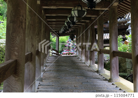 長谷寺〈登廊〉【 西国三十三所観音霊場第八番 】／ 奈良県桜井市初瀬 115084771