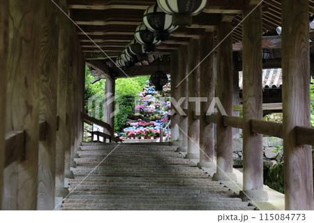 長谷寺〈登廊〉【 西国三十三所観音霊場第八番 】/ 奈良県桜井市初瀬 長谷寺〈登廊〉【 西国三十三所観音霊場第八番 】/ 奈良県桜井市初瀬 115084773