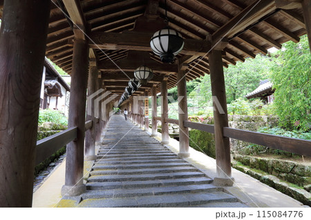 長谷寺〈登廊〉【 西国三十三所観音霊場第八番 】／ 奈良県桜井市初瀬 115084776