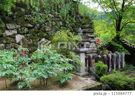 長谷寺〈登廊〉【 西国三十三所観音霊場第八番 】／ 奈良県桜井市初瀬 115084777
