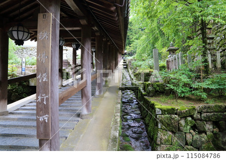 長谷寺〈登廊〉【 西国三十三所観音霊場第八番 】/ 奈良県桜井市初瀬 長谷寺〈登廊〉【 西国三十三所観音霊場第八番 】/ 奈良県桜井市初瀬 115084786