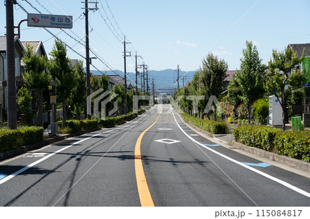 道路 115084817