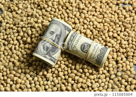 Dollars banknotes and coins and soy beans,oleaginous commoditi value concept. 115085004