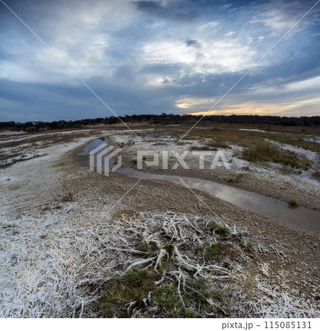 Saltpeter on the floor of a lagoon in a semi desert environment, La Pampa province, Patagonia, Argentina. Saltpeter on the floor of a lagoon in a semi desert environment, La Pampa province, Patagonia, Argentina. 115085131