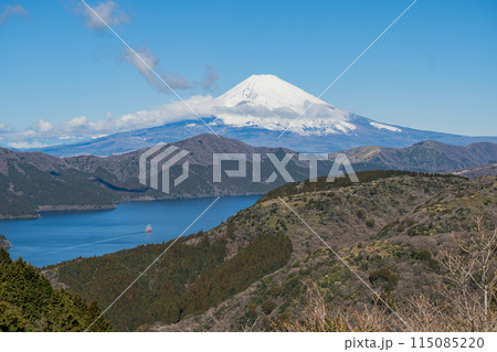大観山展望台から富士山を望む 115085220