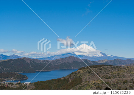 大観山展望台から富士山を望む 115085229