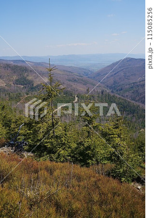 Scenic Silesian Beskids near Szczyrk town in Poland - vertical 115085256