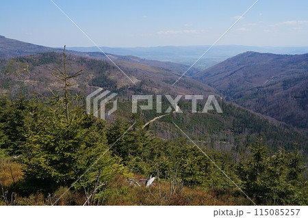 Picturesque Silesian Beskids near Szczyrk town in Poland 115085257
