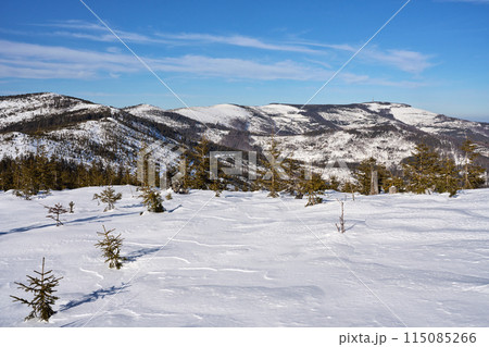 White Silesian Beskid range near European Bialy Krzyz pass in Poland White Silesian Beskid range near European Bialy Krzyz pass in Poland 115085266