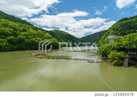 天ケ瀬ダム湖　ダム　発電所　増水したダム 115085479