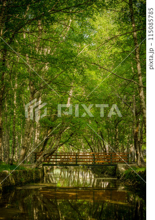 Park Natural serra Estrela - Portugal 115085785