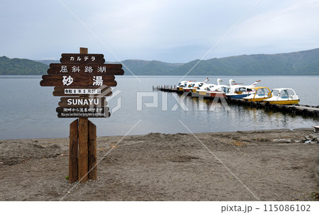 ハクチョウも羽を休める屈斜路砂湯 115086102