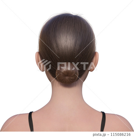 女性の後ろ姿のイラスト ナチュラルな3Dモデルの上半身バストアップの後ろ向き 女性の後ろ姿のイラスト ナチュラルな3Dモデルの上半身バストアップの後ろ向き 115086216